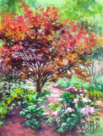 There Grew a Japanese Maple