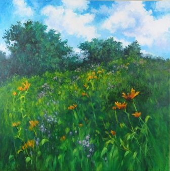 Upland Meadow In Bloom