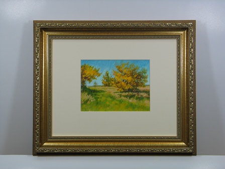 Yellow Bush Trail Framed